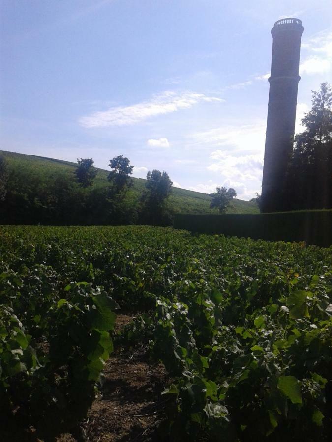 La Maison Des Vignes Charentay Exterior foto