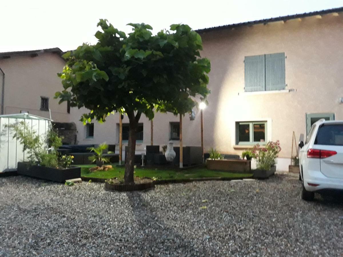 La Maison Des Vignes Charentay Exterior foto